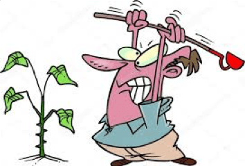cartoon of person killing a weed