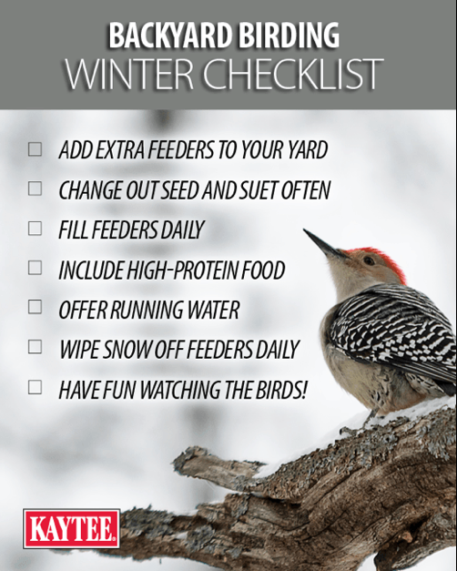 birding winter checklist